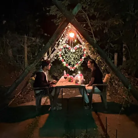 Wayanad tour package Wayanad tour package for couple 4D 3N Wayanad tour package Wayanad couple tour plan Wayanad sightseeing package Wayanad Trip Planner LLP Wayanad private cab tour plan Candle light dinner Wayanad Online booking Wayanad tour package