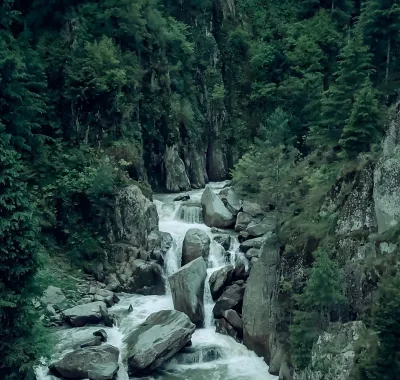Deep Jungle Treks