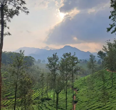 Photo by Ananya Shukla on Unsplash