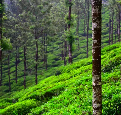 Photo by Shashank Shekhar on Unsplash