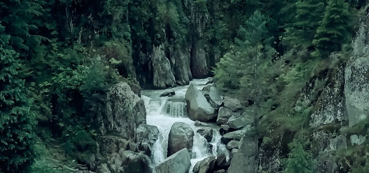 Deep Jungle Treks