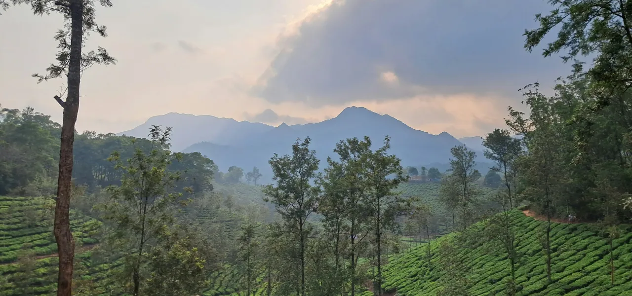 Photo by Ananya Shukla on Unsplash