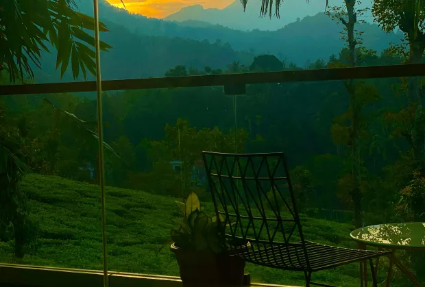 Best Wayanad Tour Packages