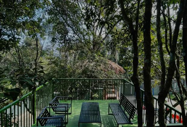 Best Wayanad Tour Packages