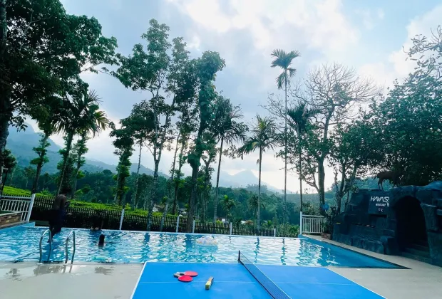 Best Wayanad Tour Packages