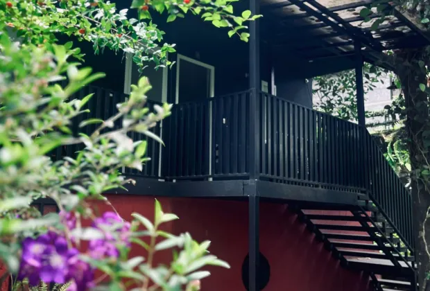 Best Wayanad Couple Tour Packages