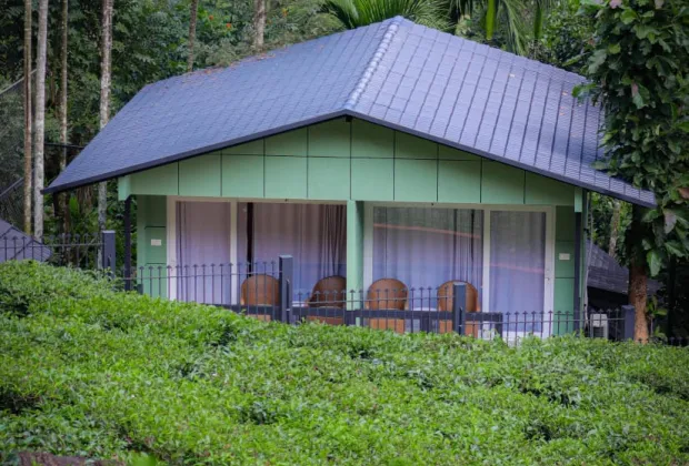 Best Wayanad Couple Tour Packages