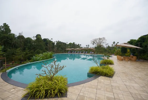 Best Wayanad Tour Packages