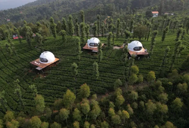 Best Glamping Stay for Couples in Wayanad | Romantic Luxury Tents & Nature Retreat