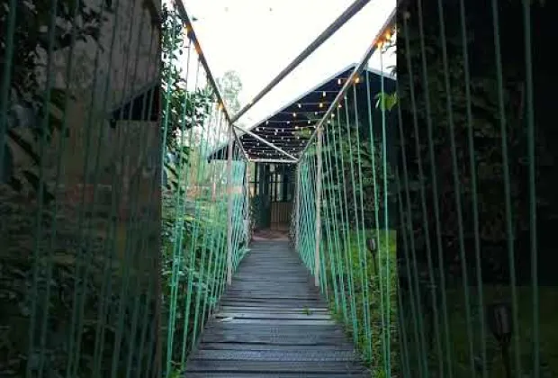 Preview image for the video "Serene Plantation Stay in Meppadi, Wayanad | Nature Retreat".