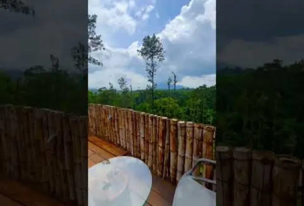 Preview image for the video "Luxury Wood House Stay in Coffee Plantation – Private Pool in Wayanad".